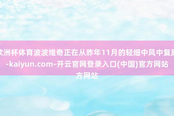 欧洲杯体育波波维奇正在从昨年11月的轻细中风中复原-kaiyun.com-开云官网登录入口(中国)官方网站