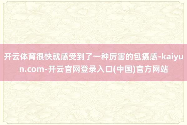 开云体育很快就感受到了一种厉害的包摄感-kaiyun.com-开云官网登录入口(中国)官方网站