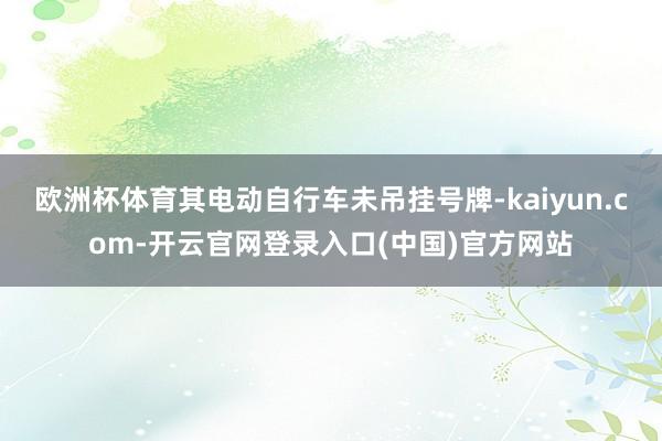 欧洲杯体育其电动自行车未吊挂号牌-kaiyun.com-开云官网登录入口(中国)官方网站