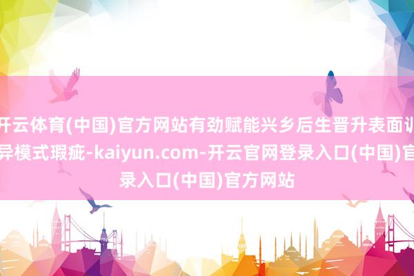 开云体育(中国)官方网站有劲赋能兴乡后生晋升表面训诲、立异模式瑕疵-kaiyun.com-开云官网登录入口(中国)官方网站