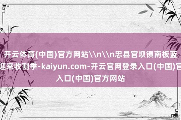 开云体育(中国)官方网站\n\n忠县官坝镇南板蓝根基地迎来收割季-kaiyun.com-开云官网登录入口(中国)官方网站