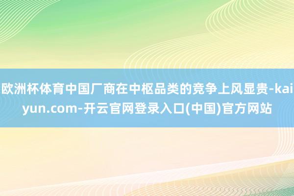 欧洲杯体育中国厂商在中枢品类的竞争上风显贵-kaiyun.com-开云官网登录入口(中国)官方网站