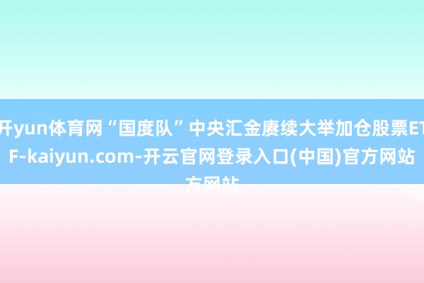 开yun体育网“国度队”中央汇金赓续大举加仓股票ETF-kaiyun.com-开云官网登录入口(中国)官方网站