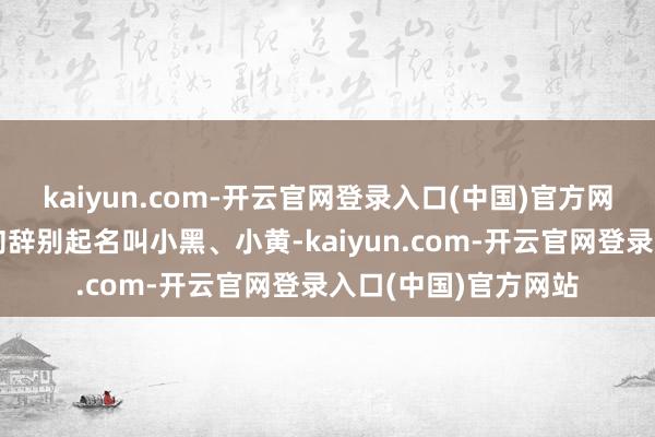 kaiyun.com-开云官网登录入口(中国)官方网站我小弟给这俩小狗辞别起名叫小黑、小黄-kaiyun.com-开云官网登录入口(中国)官方网站