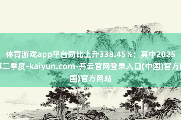 体育游戏app平台同比上升338.45%；其中2025年第二季度-kaiyun.com-开云官网登录入口(中国)官方网站