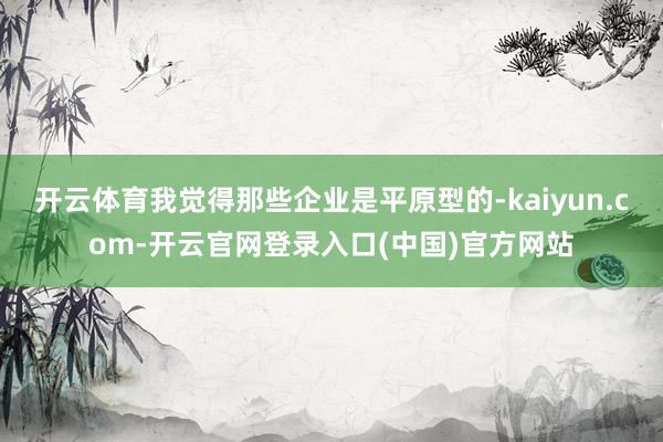 开云体育我觉得那些企业是平原型的-kaiyun.com-开云官网登录入口(中国)官方网站