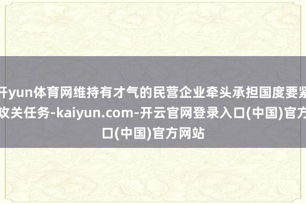 开yun体育网维持有才气的民营企业牵头承担国度要紧技能攻关任务-kaiyun.com-开云官网登录入口(中国)官方网站