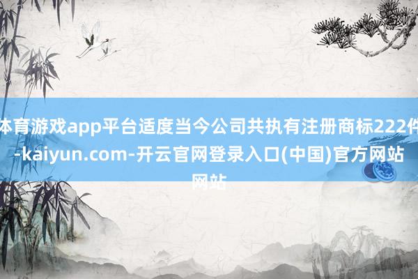 体育游戏app平台适度当今公司共执有注册商标222件-kaiyun.com-开云官网登录入口(中国)官方网站