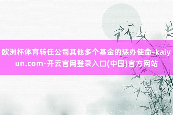 欧洲杯体育转任公司其他多个基金的惩办使命-kaiyun.com-开云官网登录入口(中国)官方网站