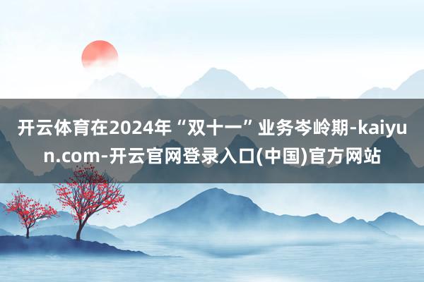 开云体育在2024年“双十一”业务岑岭期-kaiyun.com-开云官网登录入口(中国)官方网站